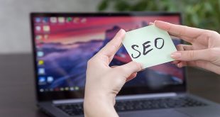 How Professional SEO Services Can Help Your Business Grow