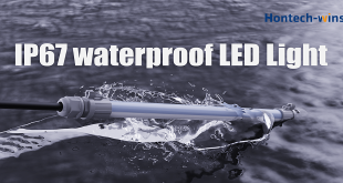 Seven Reasons To Buy Cow Lighting For Your Livestock