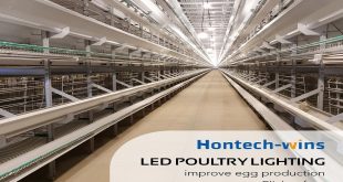 Considerations When Installing LED Agricultural Lighting