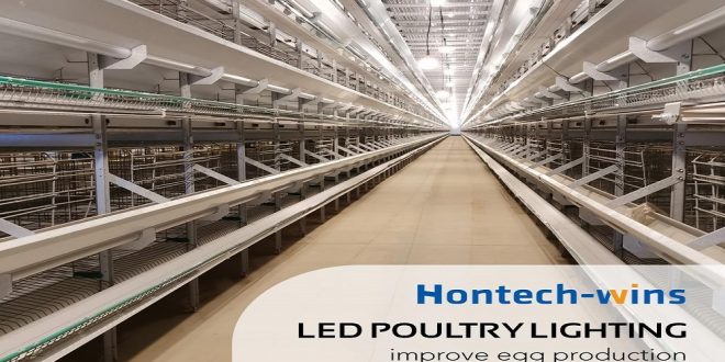Considerations When Installing LED Agricultural Lighting