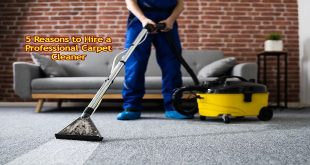 5 Reasons to Hire a Professional Carpet Cleaner