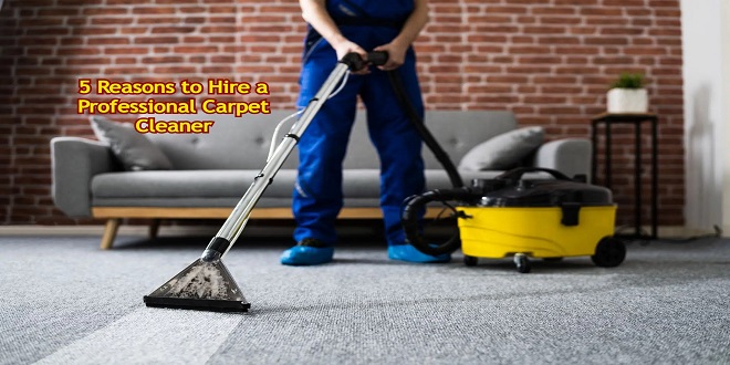 5 Reasons to Hire a Professional Carpet Cleaner