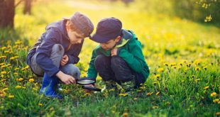 How important is pest control for your kid's health?