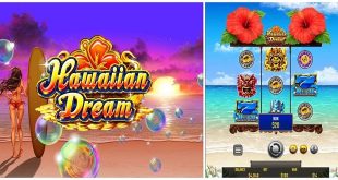 Hawaiian Dream Slot Review: A Professional Player's Perspective