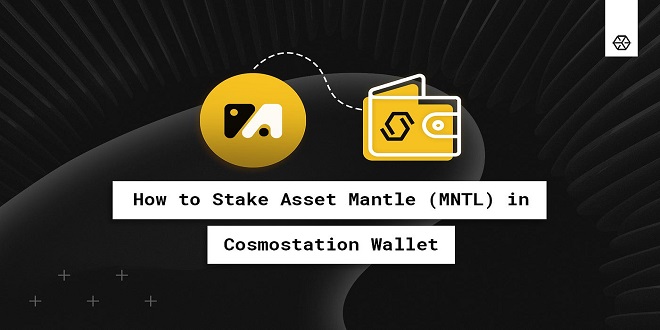 How to Add Tokens and Coins to a Cosmostation Wallet