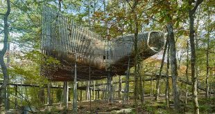 Merging Beauty and Functionality