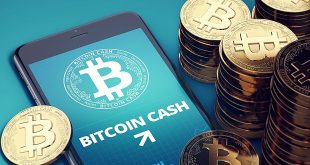 Bitcoin Cash: Exploring the Fork and Evolution of Bitcoin