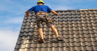 Diy Vs. Professional Roof Repair: Which Is The Better Option?